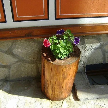 Todorini Kashti 2*