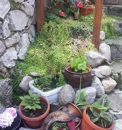 Todorini Kashti فندق كوبريفشتيتسا