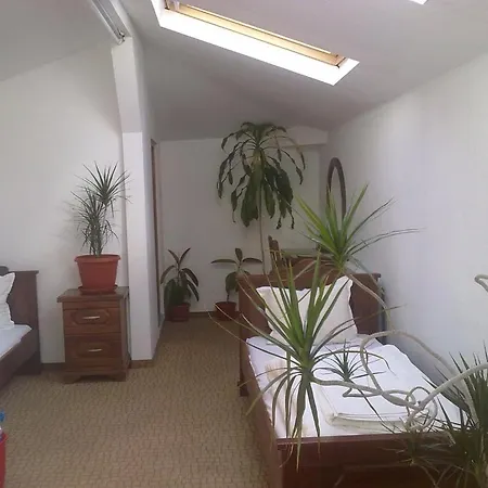 Todorini Kashti فندق