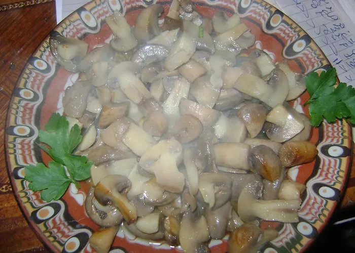 Hotel Todorini Kashti Koprivshtitsa