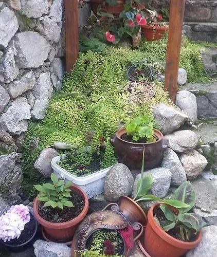 Todorini Kashti Hotel Koprivshtitsa