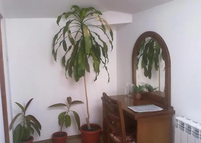 Hotel Todorini Kashti 2*